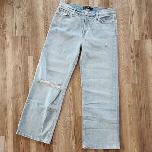 Hudson Jeans Rosie Wide Leg Memory Light Wash